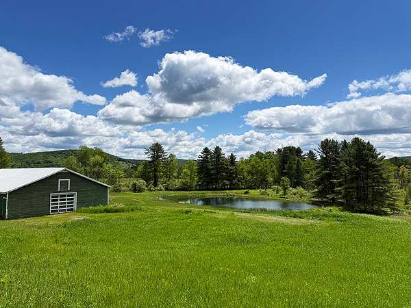 22.4 Acres of Recreational Land for Sale in Fly Creek, New York