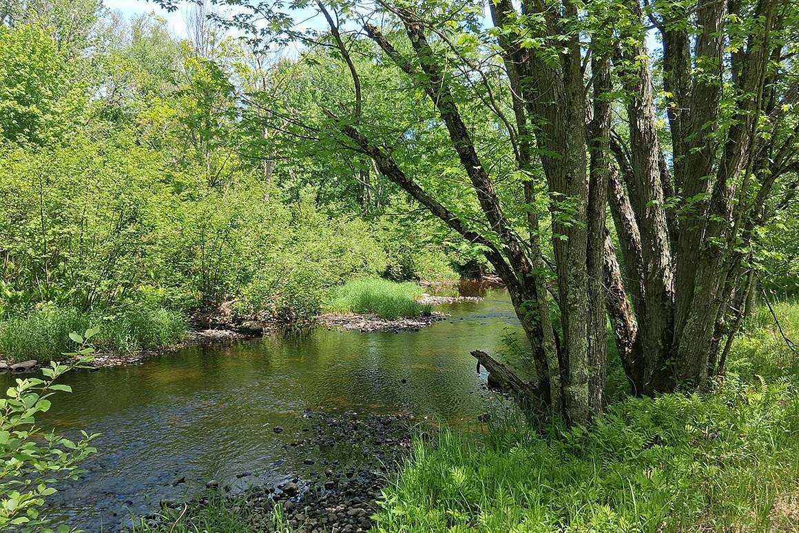 10 Acres of Recreational & Residential Land for Sale in Tripoli, Wisconsin