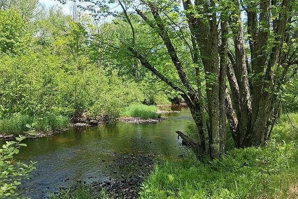10 Acres of Recreational & Residential Land for Sale in Tripoli, Wisconsin