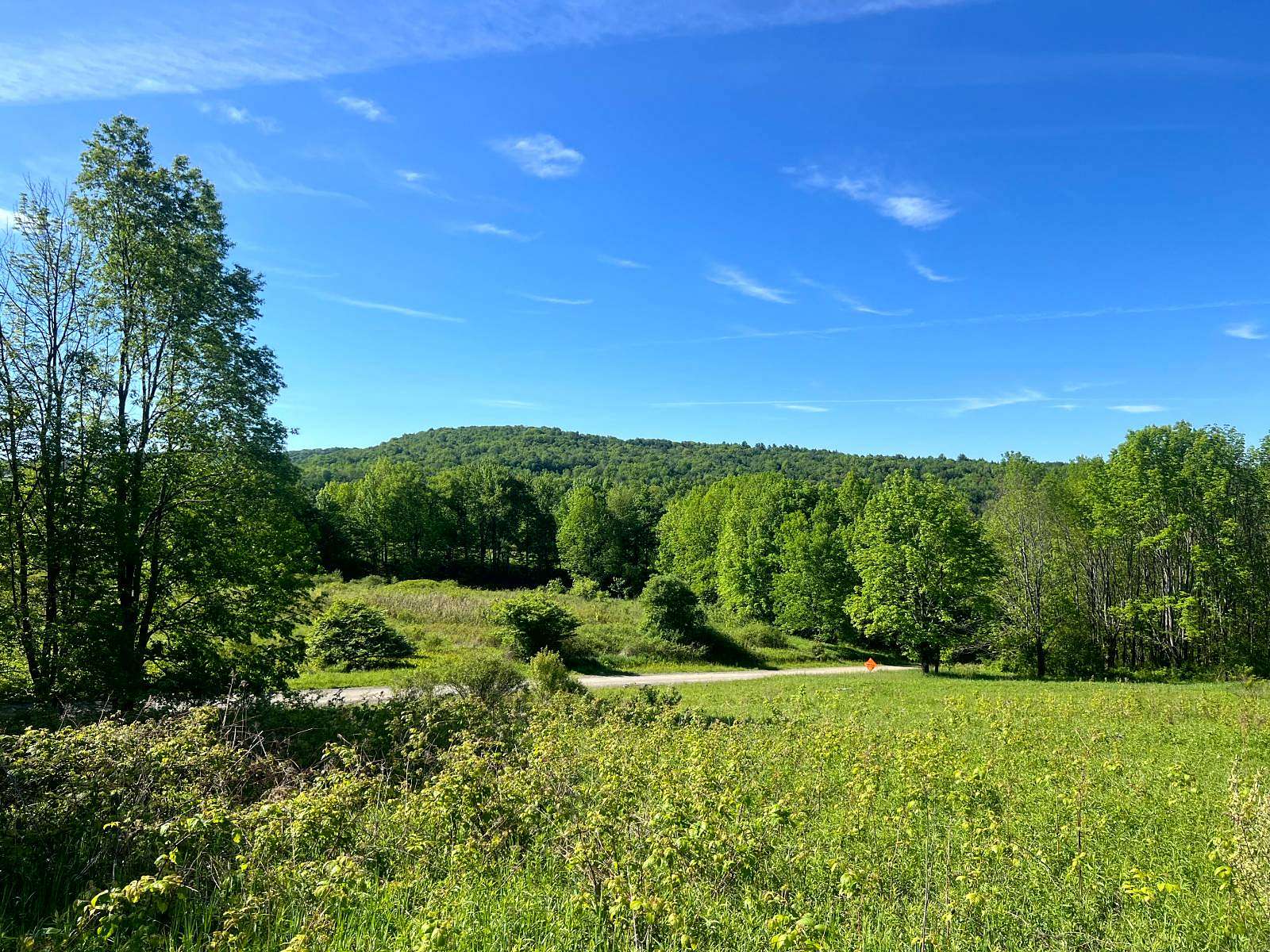8.38 Acres of Land for Sale in Pittsfield, New York