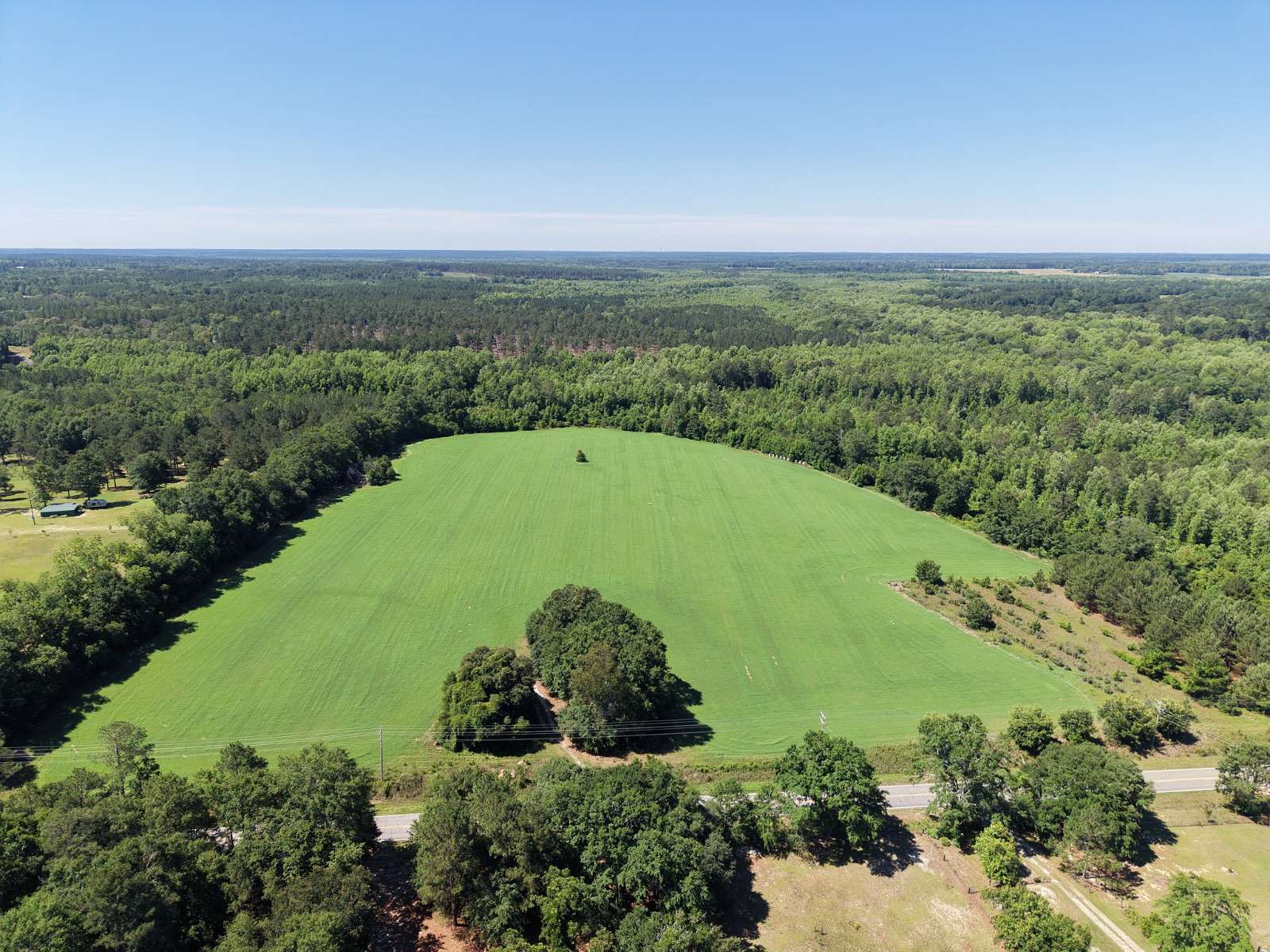 66.2 Acres of Land for Sale in Barnwell, South Carolina