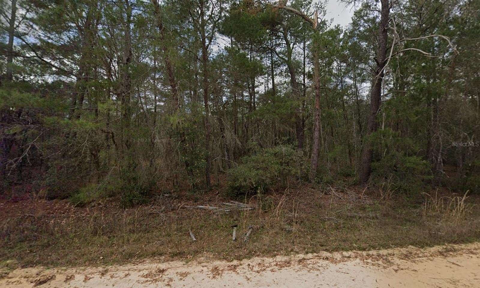 0.22 Acres of Residential Land for Sale in Interlachen, Florida