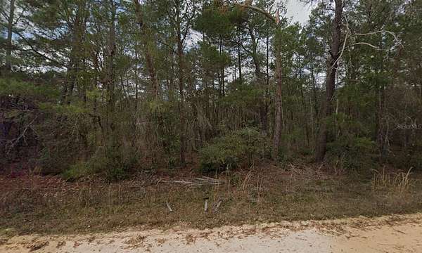 0.22 Acres of Residential Land for Sale in Interlachen, Florida