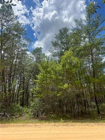 0.22 Acres of Residential Land for Sale in Interlachen, Florida