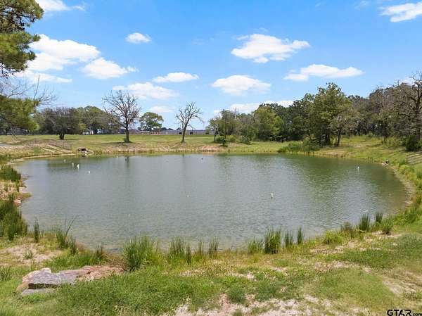 0.05 Acres of Land for Sale in Mount Pleasant, Texas