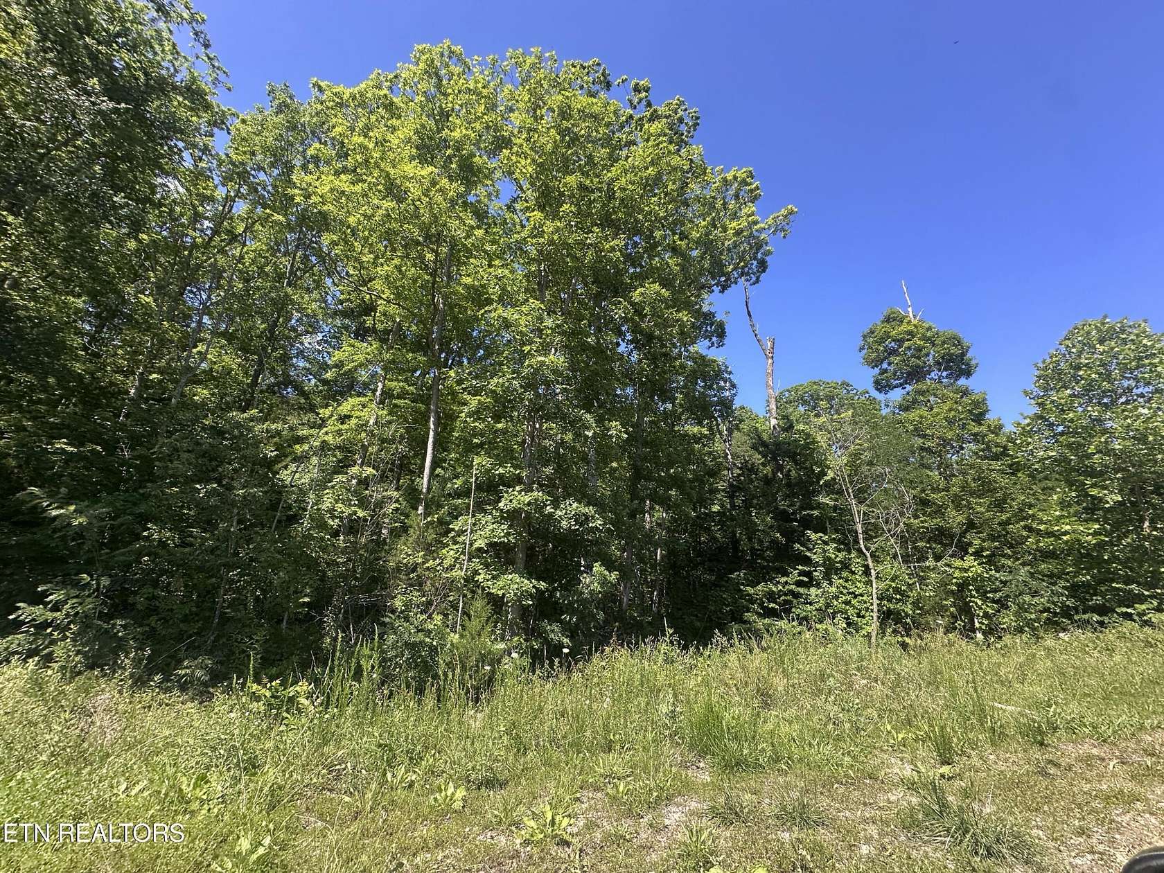 7.39 Acres of Residential Land for Sale in Jamestown, Tennessee