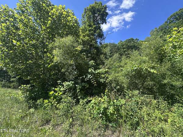 7.39 Acres of Residential Land for Sale in Jamestown, Tennessee