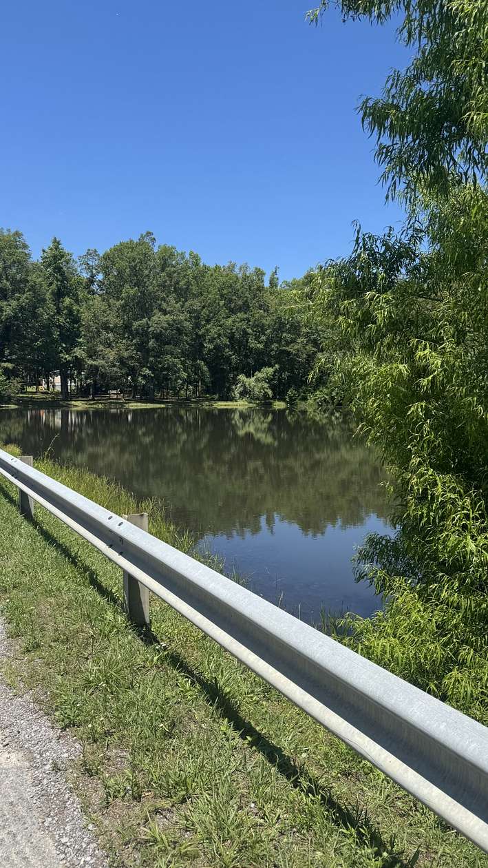 0.58 Acres of Residential Land for Sale in Beechgrove, Tennessee