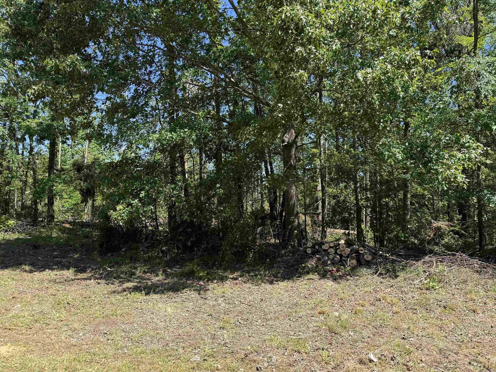 0.81 Acres of Residential Land for Sale in Savannah, Tennessee