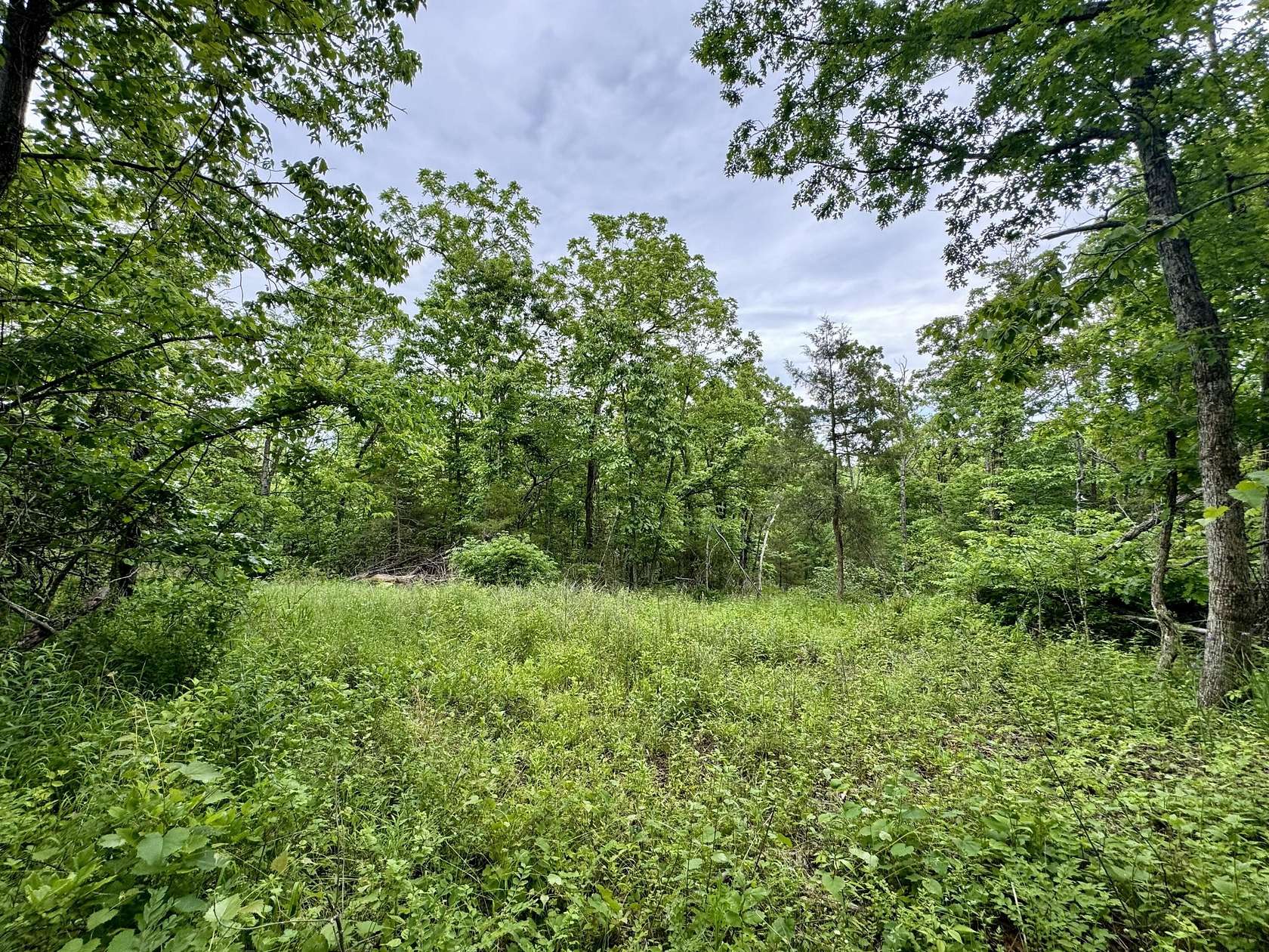 15.7 Acres of Land for Sale in Macomb, Missouri