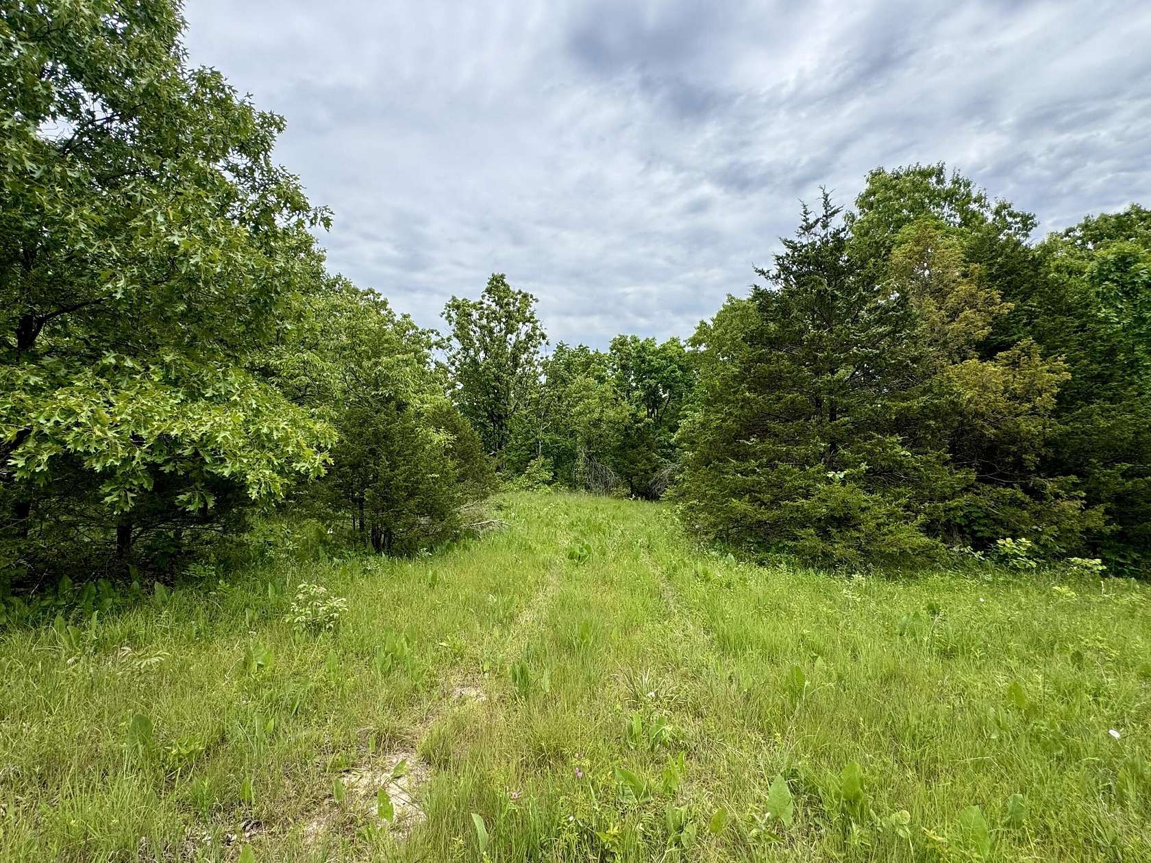 15.7 Acres of Land for Sale in Macomb, Missouri