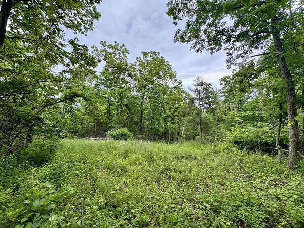 15.7 Acres of Land for Sale in Macomb, Missouri