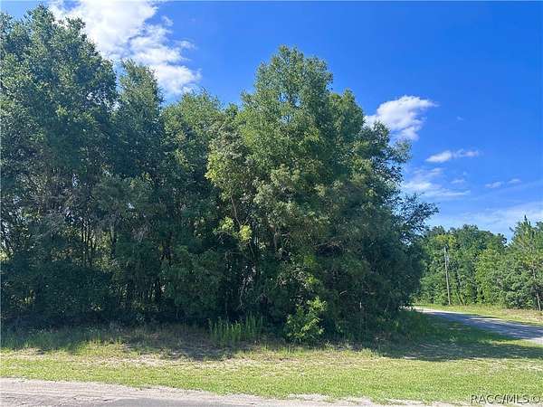 0.28 Acres of Land for Sale in Citrus Springs, Florida