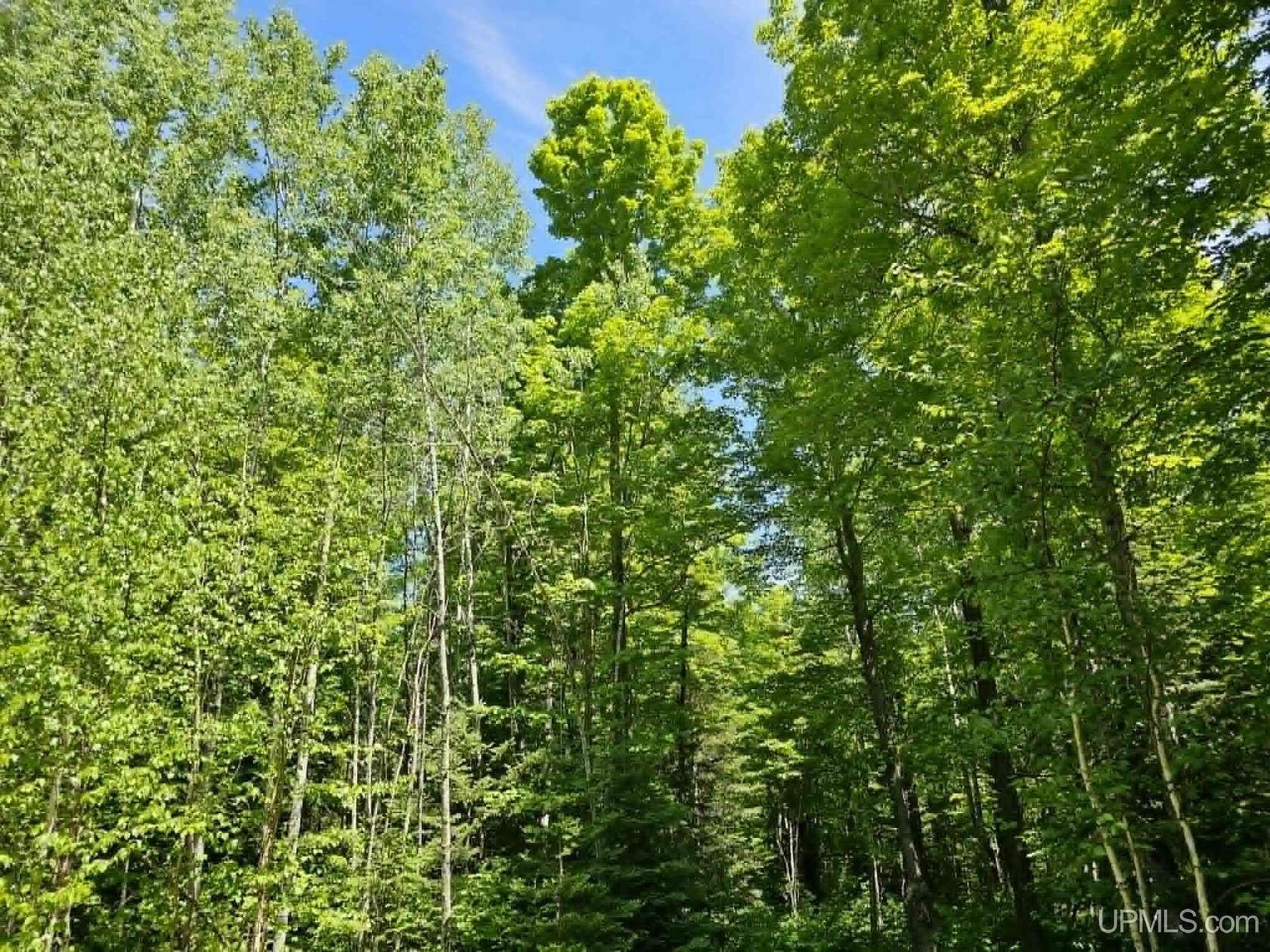 10 Acres of Recreational & Residential Land for Sale in Iron Mountain, Michigan