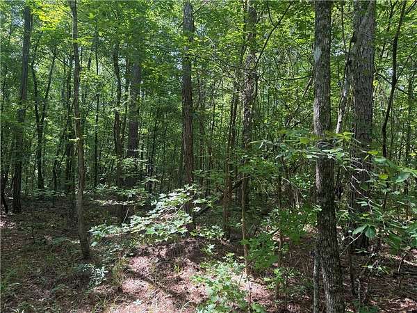 40 Acres of Recreational Land for Sale in Lanett, Alabama