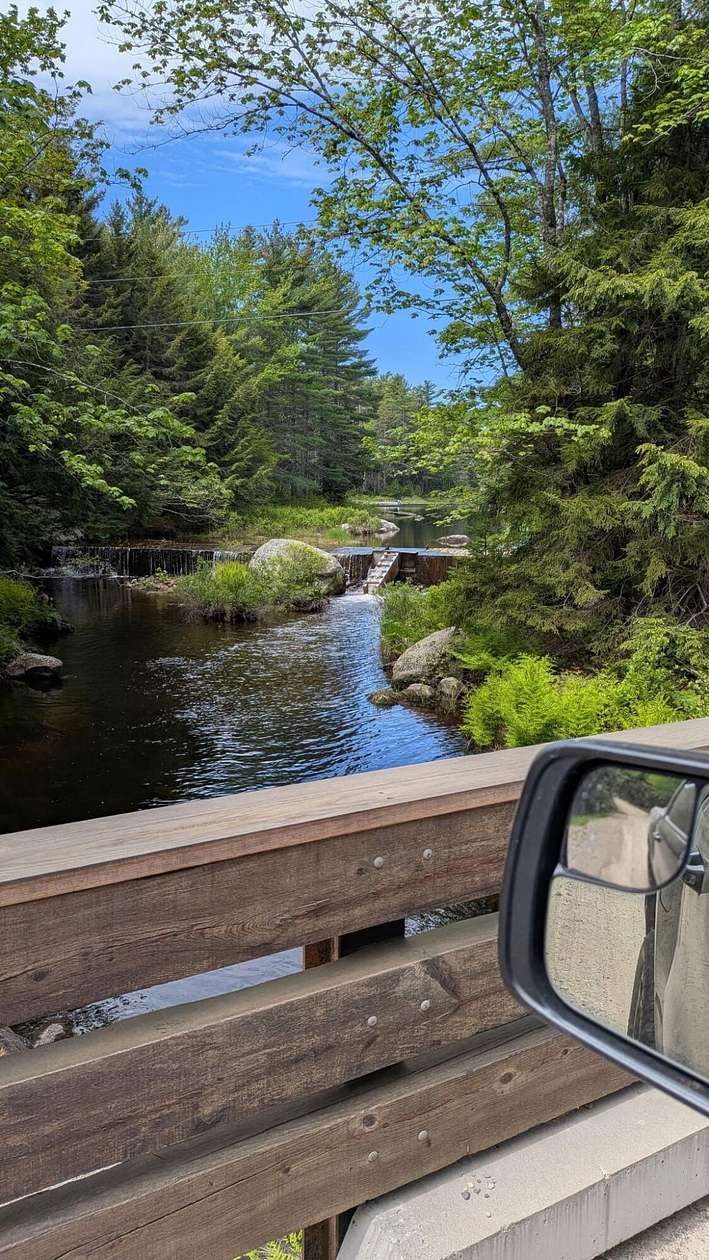 40.5 Acres of Recreational & Residential Land for Sale in Beddington, Maine