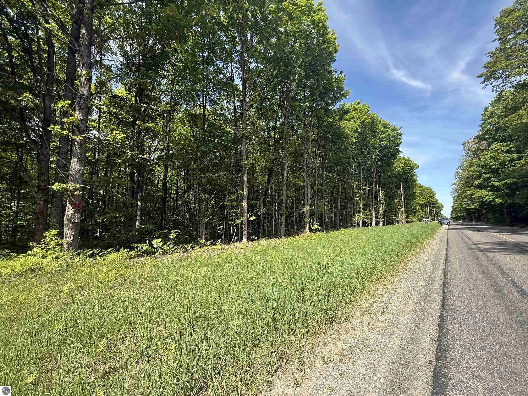 10 Acres of Recreational Land for Sale in Mancelona, Michigan