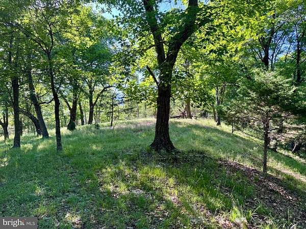 7.4 Acres of Land for Sale in Petersburg, West Virginia