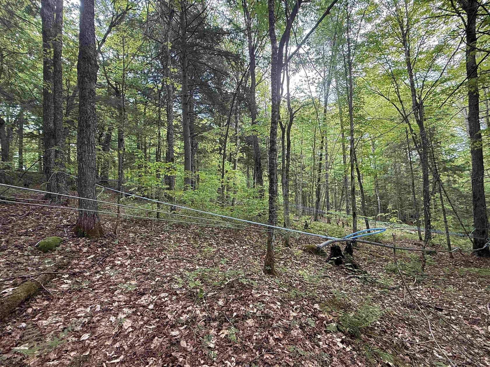 17.9 Acres of Land for Sale in Newbury, Vermont