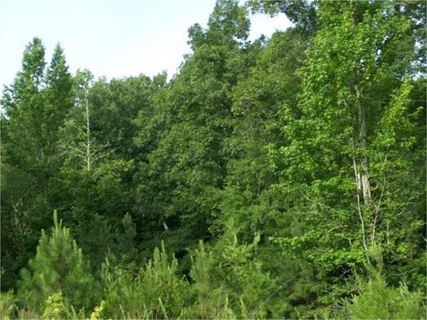 1 Acre of Residential Land for Sale in Crandall, Georgia