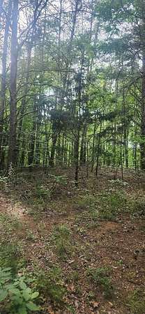 1 Acre of Residential Land for Sale in Crandall, Georgia