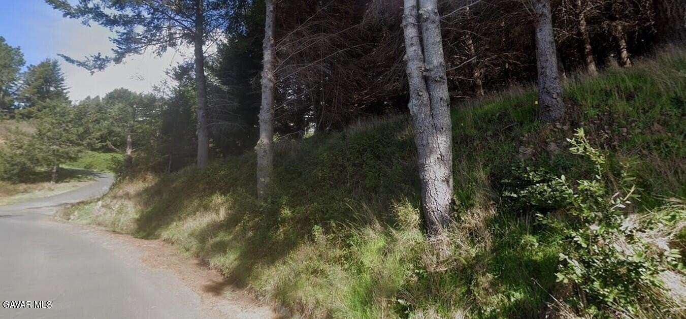 0.32 Acres of Residential Land for Sale in Whitethorn, California