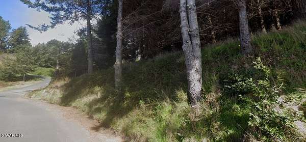 0.32 Acres of Residential Land for Sale in Whitethorn, California