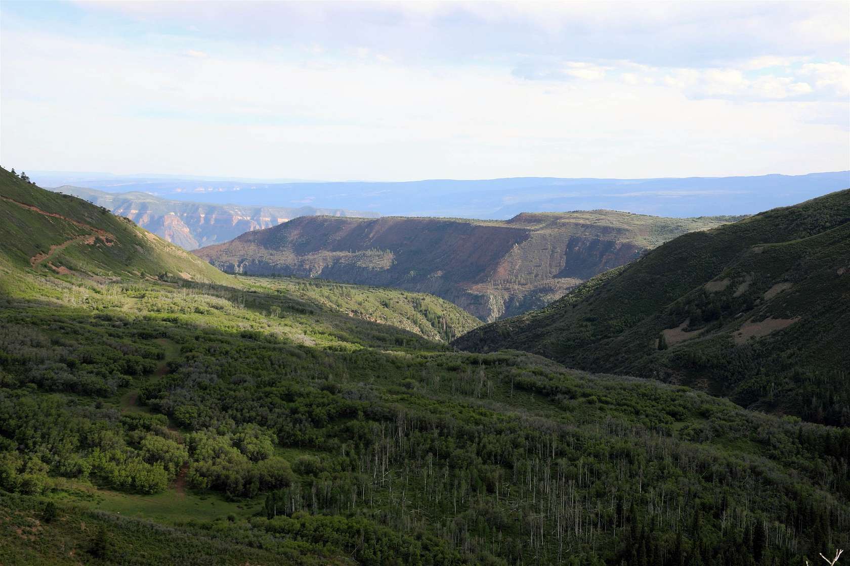 Land for Sale in Glade Park, Colorado