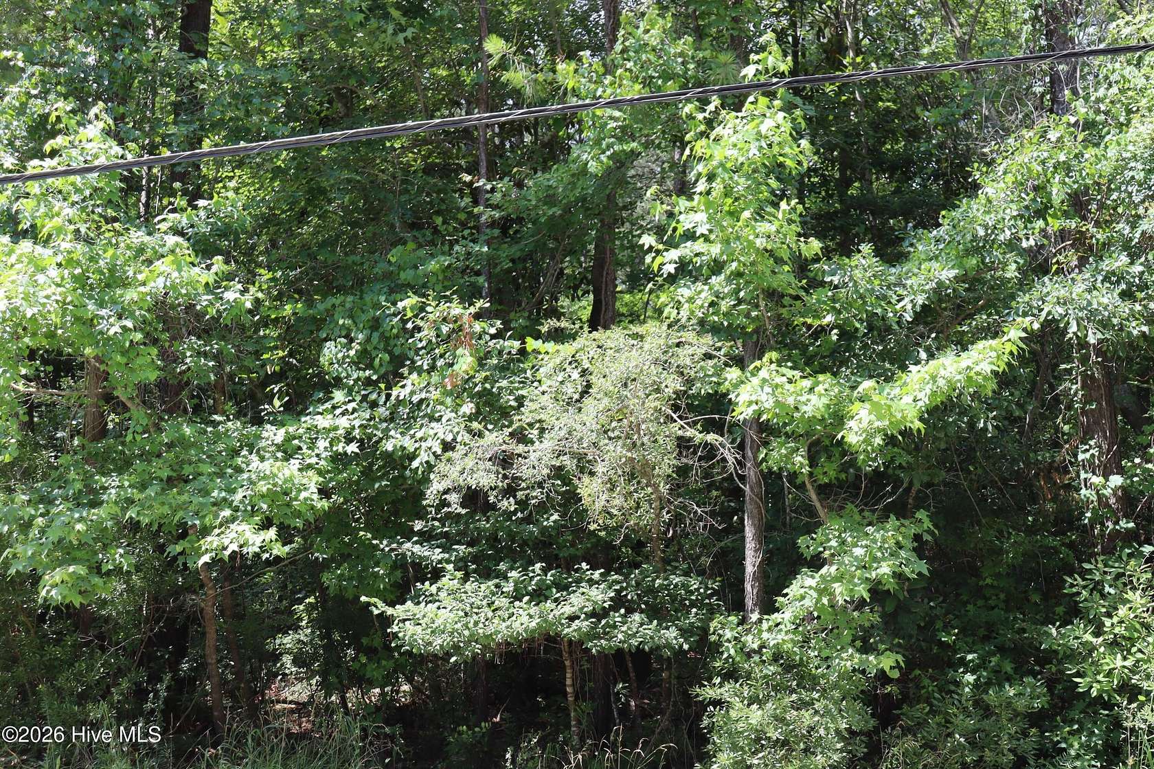 0.82 Acres of Residential Land for Sale in Wilmington, North Carolina
