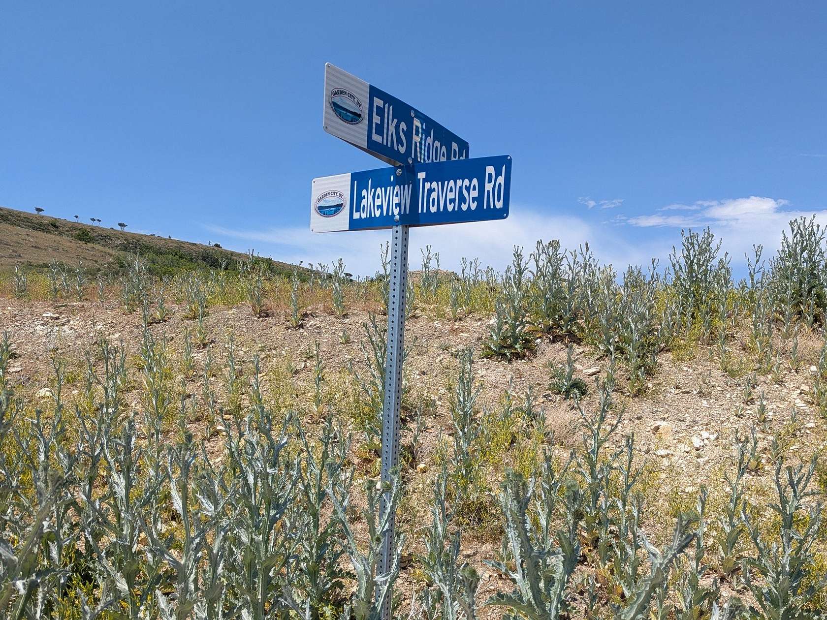 0.71 Acres of Land for Sale in Garden City, Utah