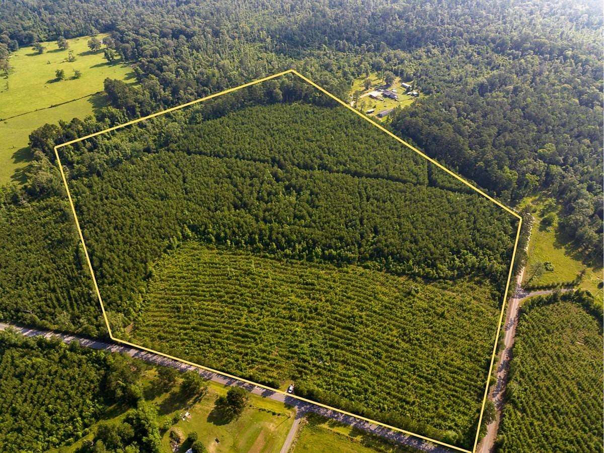 48 Acres of Recreational Land for Sale in Pitkin, Louisiana