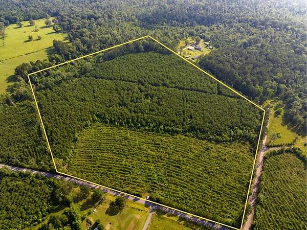 48 Acres of Recreational Land for Sale in Pitkin, Louisiana