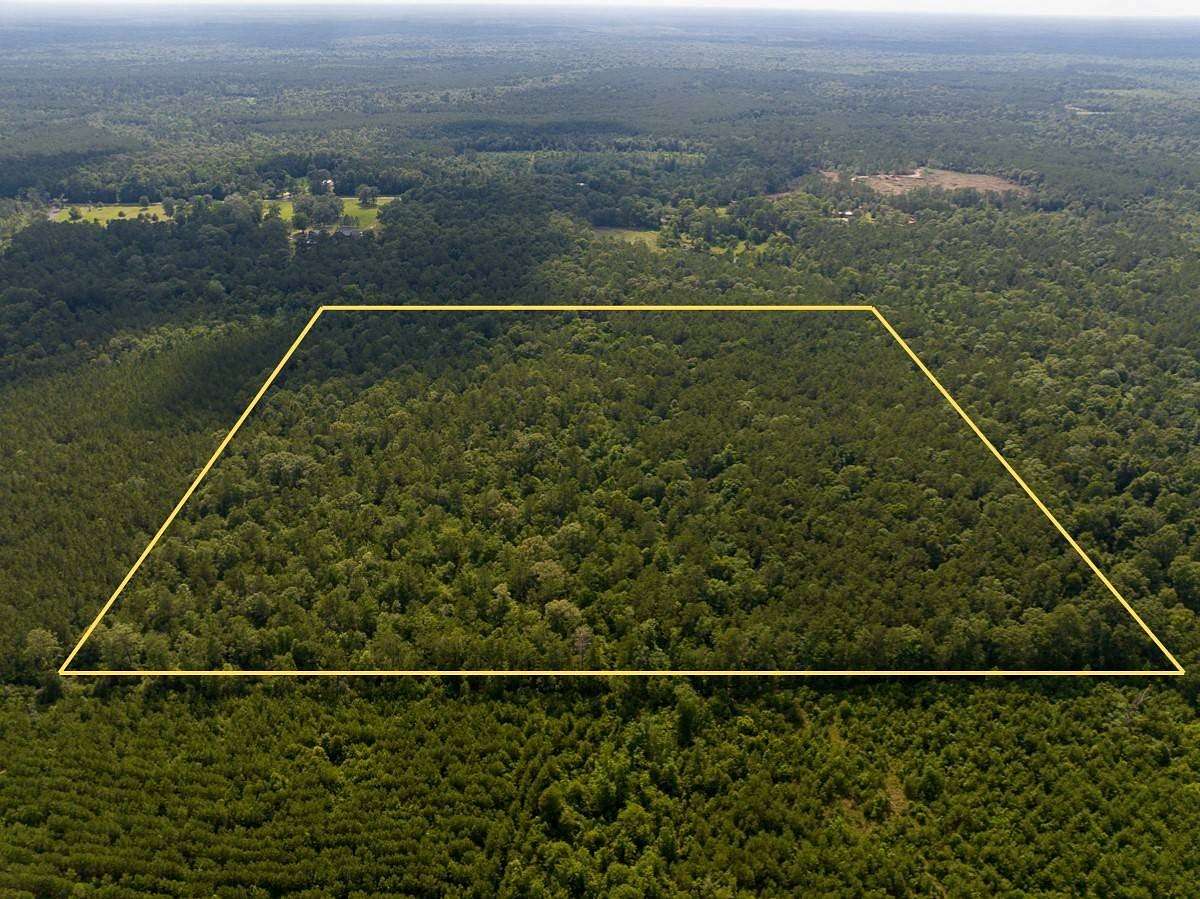 20 Acres of Land for Sale in Merryville, Louisiana