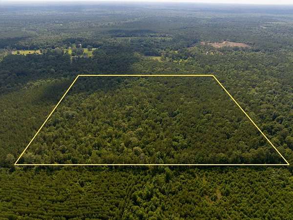 20 Acres of Land for Sale in Merryville, Louisiana
