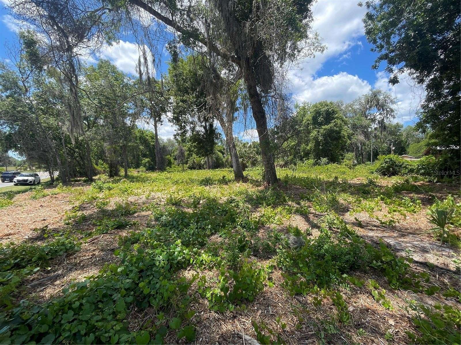 0.22 Acres of Residential Land for Sale in Umatilla, Florida
