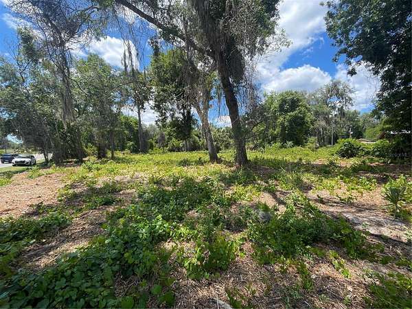 0.22 Acres of Residential Land for Sale in Umatilla, Florida