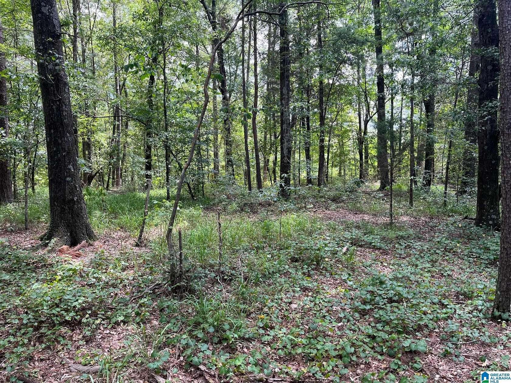 4.2 Acres of Commercial Land for Sale in Pinson, Alabama