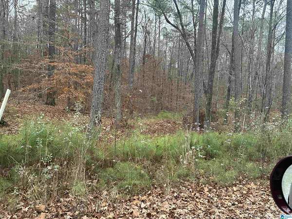 20 Acres of Land for Sale in Chelsea, Alabama