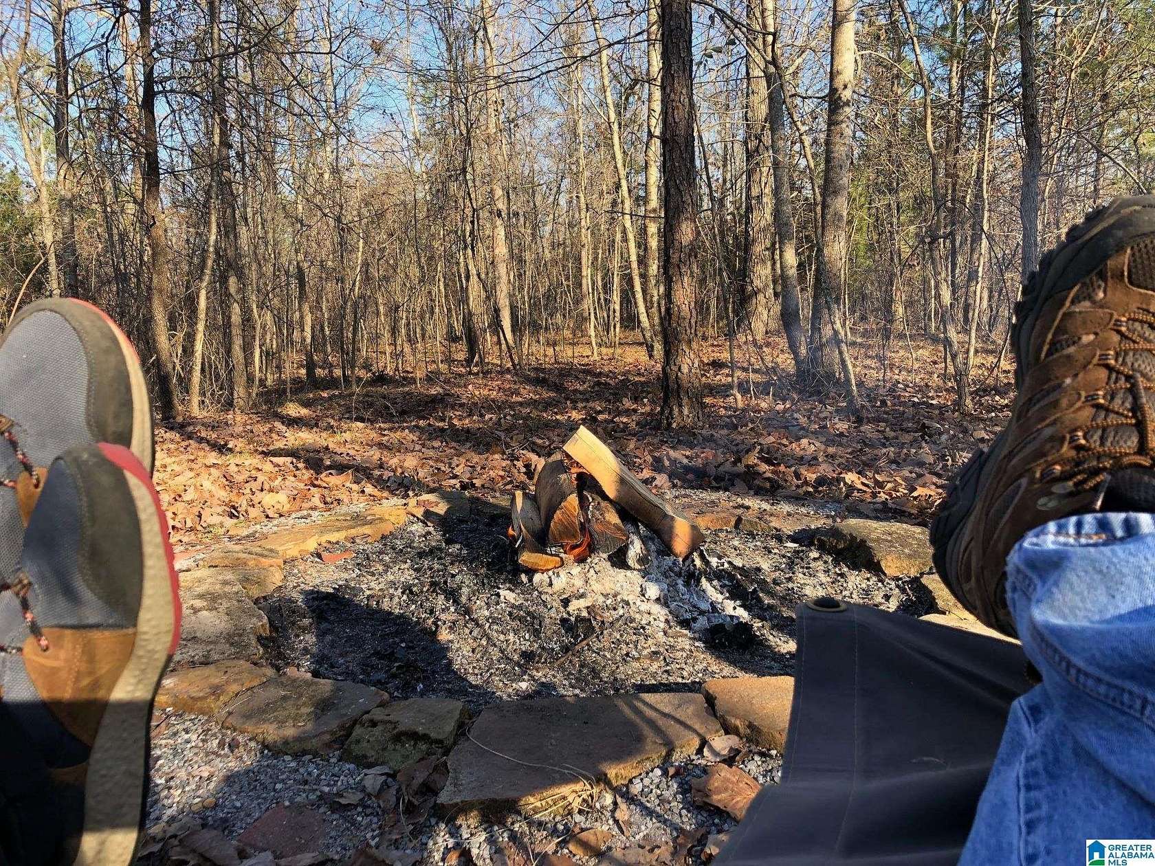 18 Acres of Recreational Land for Sale in Ragland, Alabama