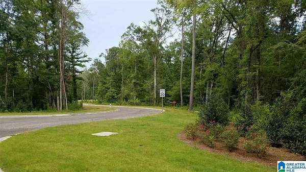 1.1 Acres of Residential Land for Sale in Chelsea, Alabama