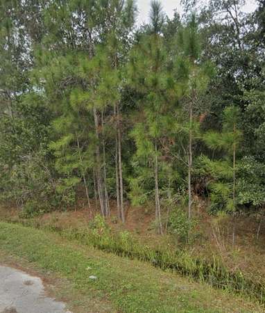 0.44 Acres of Land for Sale in Poinciana, Florida