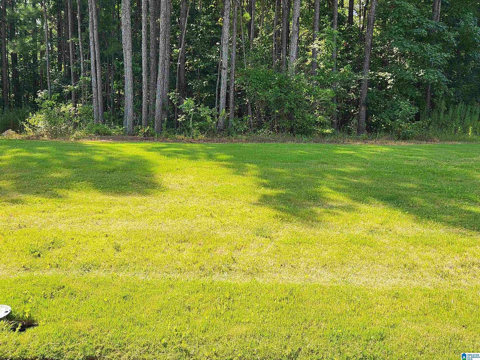 0.39 Acres of Residential Land for Sale in Alabaster, Alabama