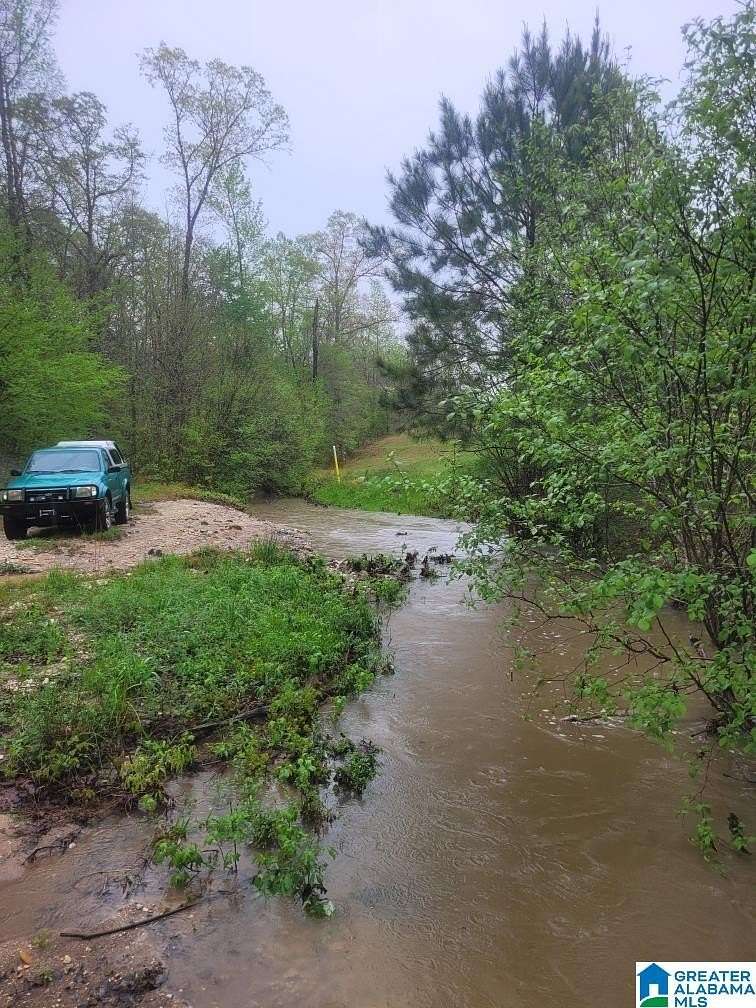 68.6 Acres of Land for Sale in Sylacauga, Alabama
