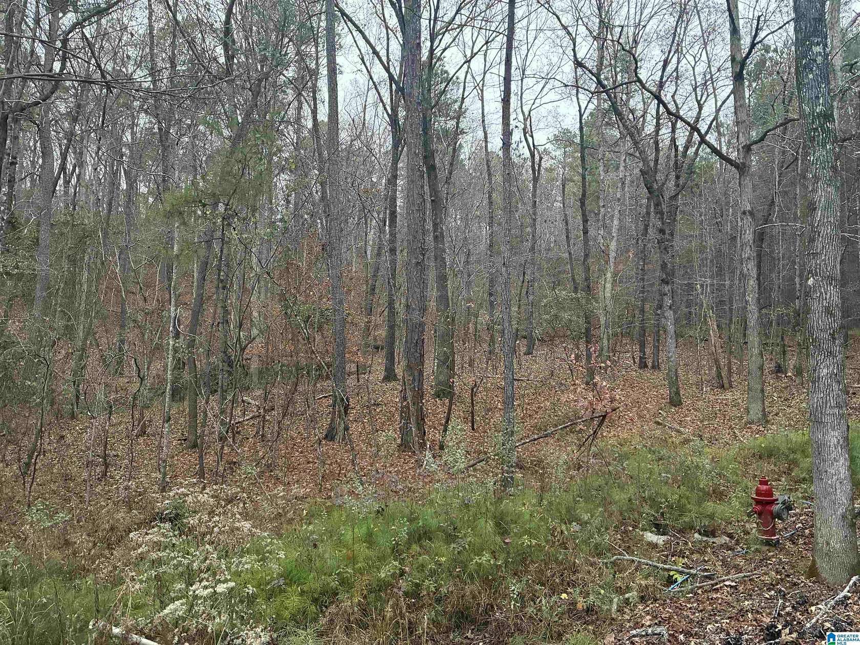 20 Acres of Land for Sale in Chelsea, Alabama