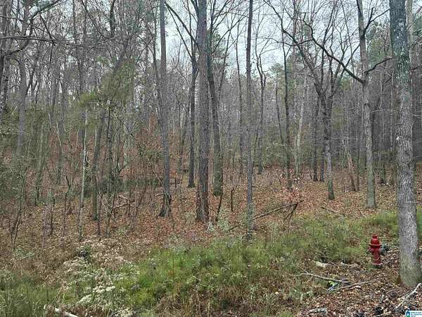 20 Acres of Land for Sale in Chelsea, Alabama