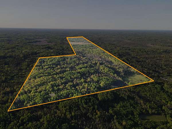 240 Acres of Recreational Land for Sale in Perkins, Michigan