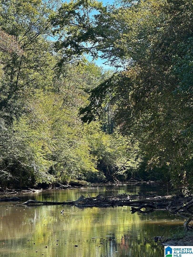 247 Acres of Recreational Land for Sale in Muscadine, Alabama