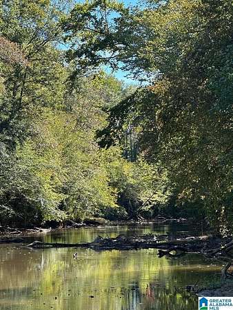 247 Acres of Recreational Land for Sale in Muscadine, Alabama