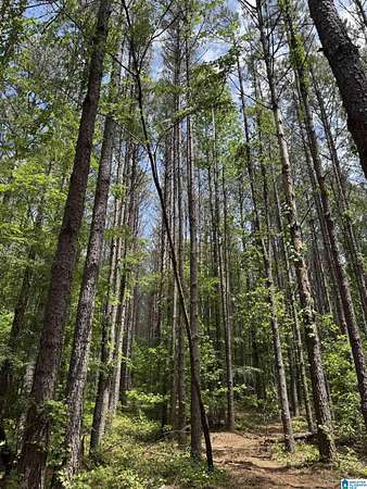 18.5 Acres of Land for Sale in West Blocton, Alabama
