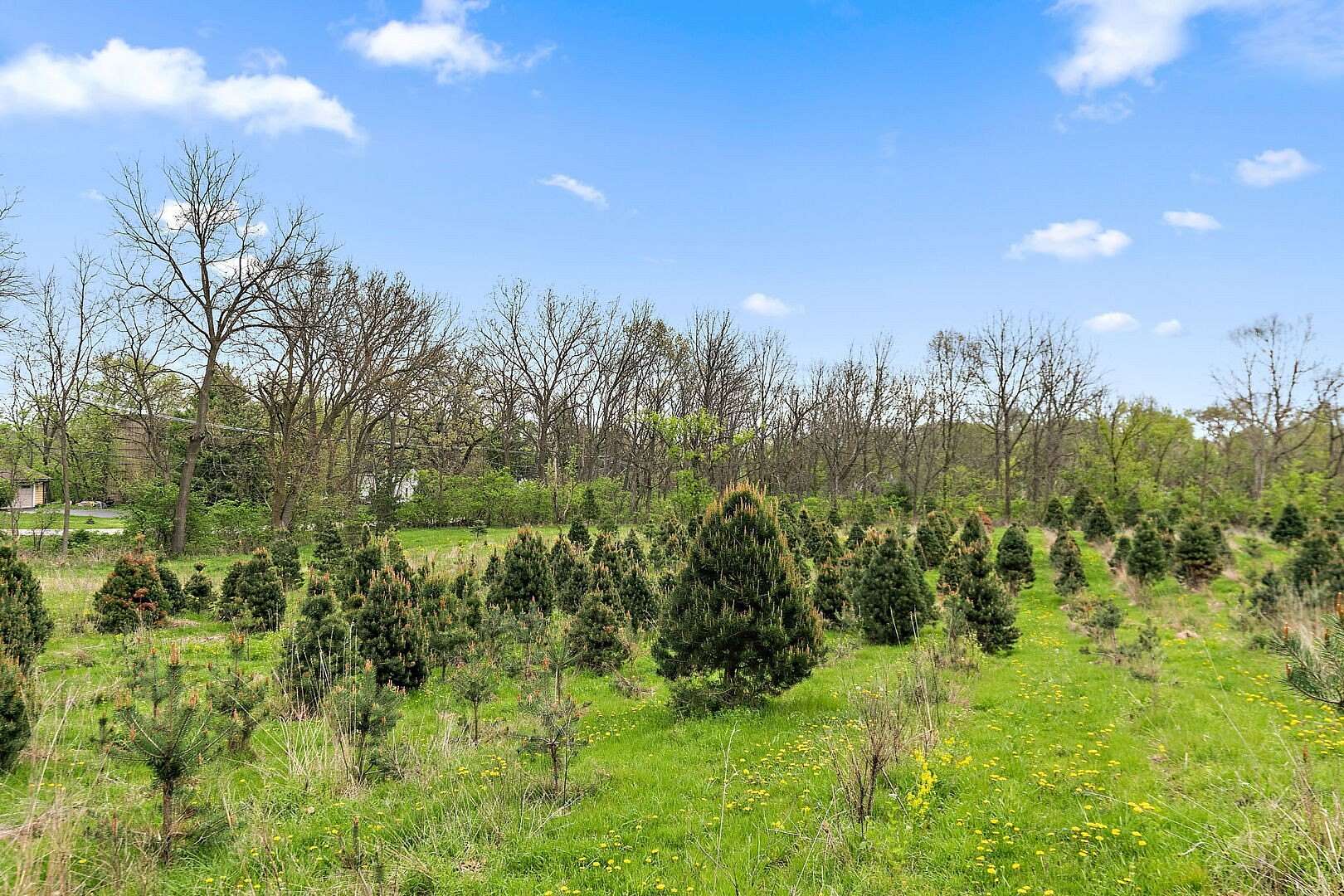 4.74 Acres of Land for Sale in Cary, Illinois